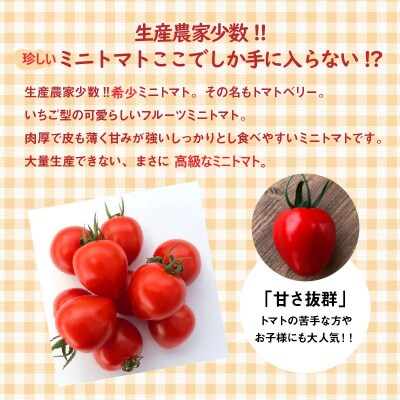 【お試し】甘さ抜群!で大人気　ミニトマト　トマトベリー　約800g　H004-114