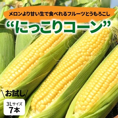【事前受付 お試し】メロンより甘い生で食べれるとうもろこし 3Lサイズ7本　H095-011