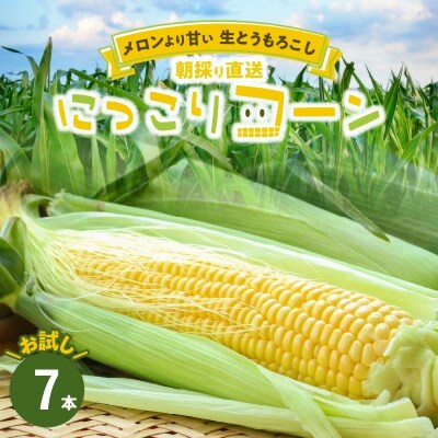 【お試し】メロンより甘い 生とうもろこし“にっこりコーン”7本　H095-017  | ふるさと納税のお礼品