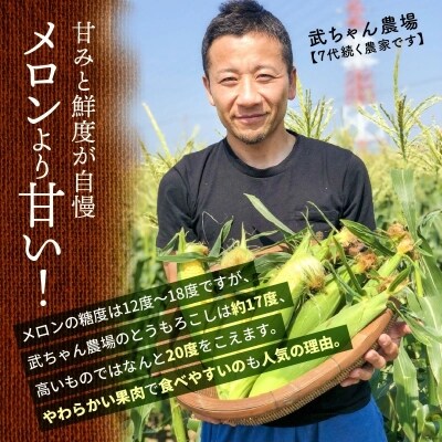 【事前受付 お試し】メロンより甘い生で食べれるとうもろこし 3Lサイズ7本 H095-011