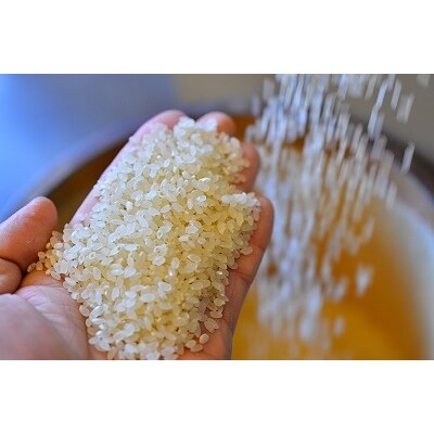 【お米マイスター】究極　喜重ーKIJYUー　定期便(5kg×6回)　H056-162