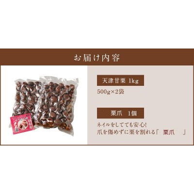 新栗先行受付中!この道40年の職人が焼くやさしい甘みたっぷりの「天津甘栗」1kg H045-010