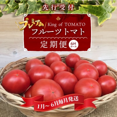 1月～6月毎月発送 プレミアムフルーツトマトの定期便 6回コース H004-204