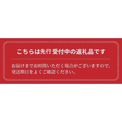 1月～6月毎月発送 プレミアムフルーツトマトの定期便 6回コース H004-204