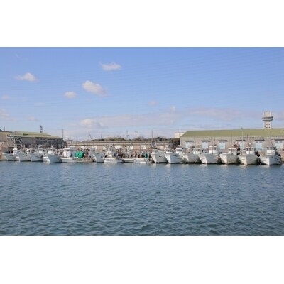 しらす屋のしらす干し　1kg(ご家庭用)　H006-073