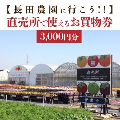 【長田農園に行こう!!】直売所で使えるお買物券　3,000円分　H004-159