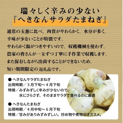みずみずしく辛味の少ない「へきなんサラダたまねぎ」10kg　H017-101