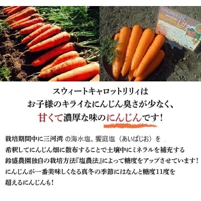 【期間限定】鈴盛農園の甘～いにんじん　スウィートキャロットリリィ　H022-013