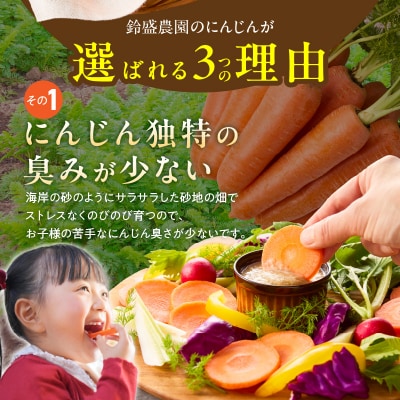 〈予約受付〉【期間限定】鈴盛農園の甘～いにんじんスウィートキャロットリリィ 5㎏ H022-013