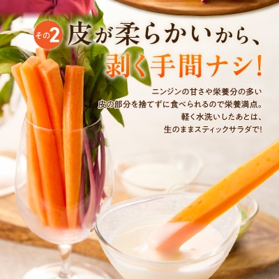 〈予約受付〉【期間限定】鈴盛農園の甘～いにんじんスウィートキャロットリリィ 5㎏ H022-013