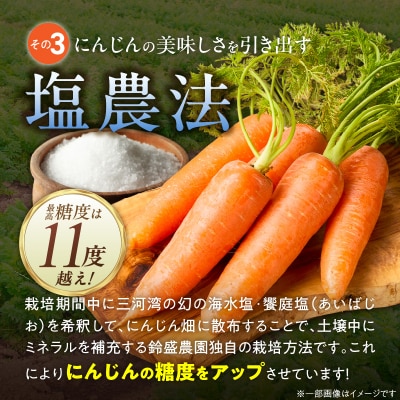 〈予約受付〉【期間限定】鈴盛農園の甘～いにんじんスウィートキャロットリリィ 5㎏ H022-013