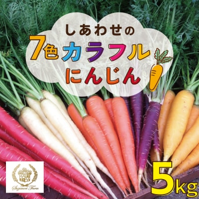 〈予約受付〉【期間限定】 冬の寒さでぎゅっと濃い!虹色のカラフルにんじん 5kg H022-012