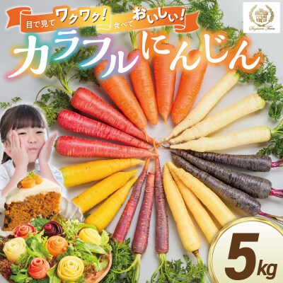 〈予約受付〉【期間限定】 冬の寒さでぎゅっと濃い!虹色のカラフルにんじん 5kg H022-012