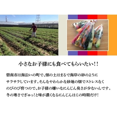 【期間限定】 冬の寒さでぎゅっと濃い!虹色のカラフルにんじん　H022-012