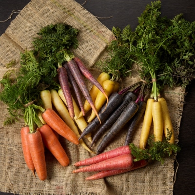 〈予約受付〉【期間限定】 冬の寒さでぎゅっと濃い!虹色のカラフルにんじん 5kg H022-012