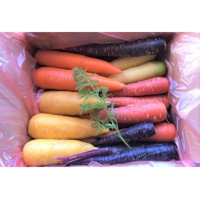 【期間限定】 冬の寒さでぎゅっと濃い!虹色のカラフルにんじん　H022-012