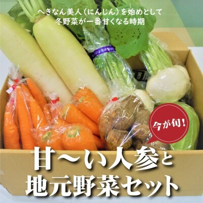 【先行受付】今が旬!甘～い人参と地元野菜セット へきなん美人 にんじん　H025-010