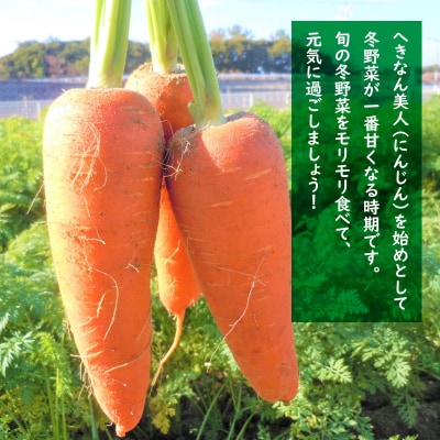 (2026年発送)今が旬!甘～い人参と地元野菜セット へきなん美人 にんじん　H025-010