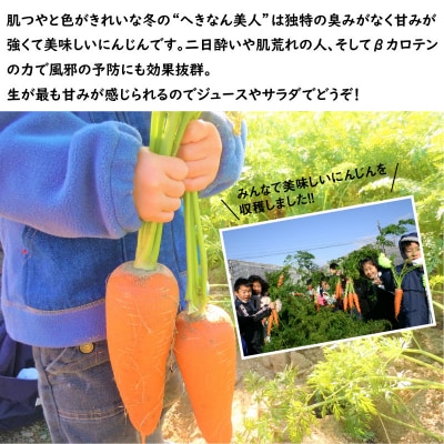 今が旬!甘～い人参と地元野菜セット へきなん美人 にんじん　H025-010