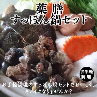 薬膳すっぽん鍋セット　H080-048