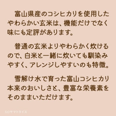 やわらかい玄米 900g　H074-639