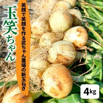 笑顔で笑顔を作る武ちゃん農場の新玉ねぎ“玉笑ちゃん” 4kg　H095-012
