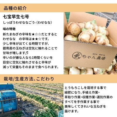 笑顔で笑顔を作る武ちゃん農場の新玉ねぎ“玉笑ちゃん” 9個 H095-029