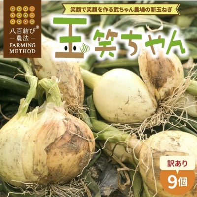 【食品ロス削減】笑顔で笑顔を作る武ちゃん農場の新玉ねぎ“玉笑ちゃん” 9個 H095-030