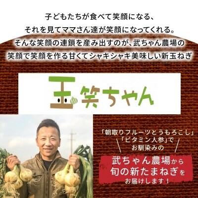 【食品ロス削減】笑顔で笑顔を作る武ちゃん農場の新玉ねぎ“玉笑ちゃん” 9個 H095-030