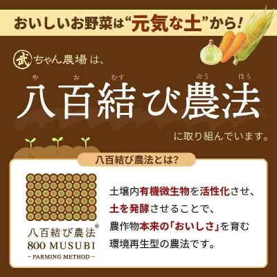 【食品ロス削減】笑顔で笑顔を作る武ちゃん農場の新玉ねぎ“玉笑ちゃん” 9個 H095-030