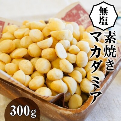 無塩で素焼きのマカダミアナッツ 無添加 300g　H059-094 | ふるさと納税のお礼品