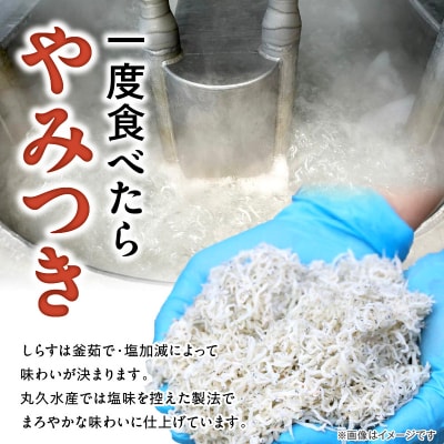 年内発送 訳あり モリモリ2kg!バラエティ豊富な三河しらす　H018-040
