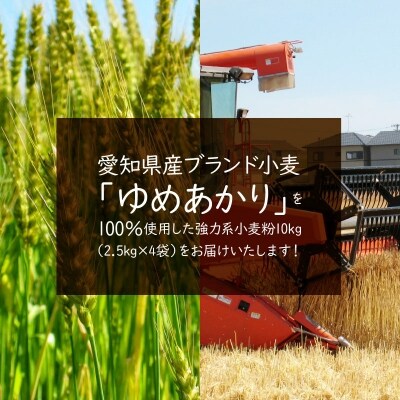 【愛知県産】パン用小麦粉 ゆめあかり2.5kg×4袋(計10kg) H008-039