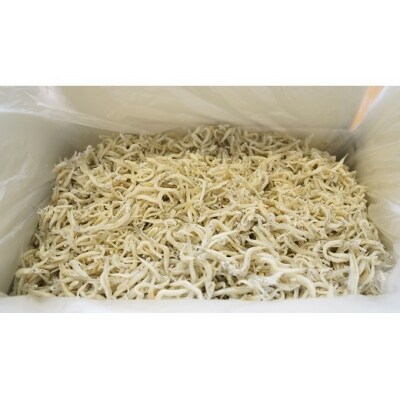 数量限定 訳アリ しらす屋のしらす干し2kg H006 016 お礼品詳細 ふるさと納税なら さとふる