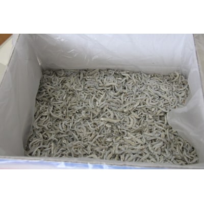 【数量限定】 訳アリ しらす屋のしらす干し2kg　H006-113