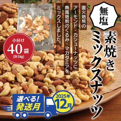 【年内発送】 無塩の素焼きミックスナッツ 小分け40袋(計1kg) H059-145_Dec