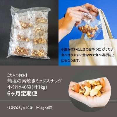 無塩の素焼きミックスナッツ　小分け40袋(計1kg)　6ヶ月定期便　H059-155