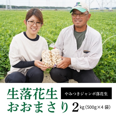 生落花生 おおまさり 2kg とれたて 耕地の美味しい野菜シリーズ第1弾 H132-028