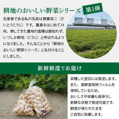 生落花生 おおまさり 2kg とれたて 耕地の美味しい野菜シリーズ第1弾 H132-028