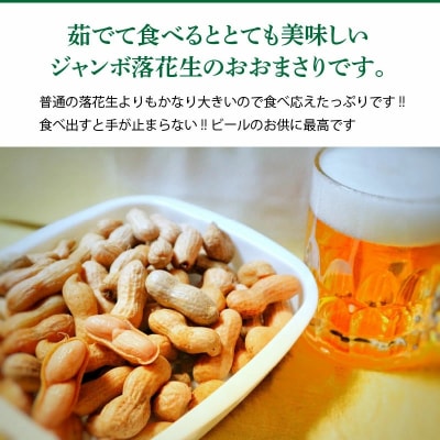生落花生 おおまさり 2kg とれたて 耕地の美味しい野菜シリーズ第1弾 H132-028
