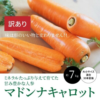 訳あり こどもも食べられる甘み マドンナキャロット 7kg にんじん 野菜 H105 046 お礼品詳細 ふるさと納税なら さとふる