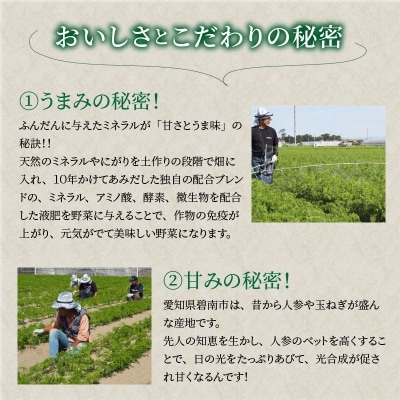 (TVで紹介)訳あり!こどもも食べられる甘み!「マドンナキャロット」 7kg H105-135