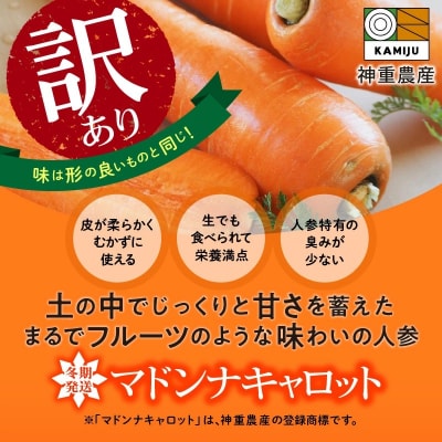 (TVで紹介)訳あり!こどもも食べられる甘み!「マドンナキャロット」 7kg H105-192