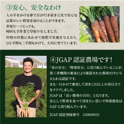 (TVで紹介)訳あり!こどもも食べられる甘み!「マドンナキャロット」 7kg H105-135