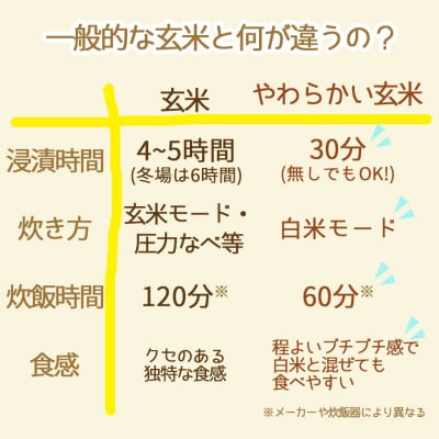 やわらかい玄米 1.8kg(900g×2袋)　※6回定期便　　H074-649