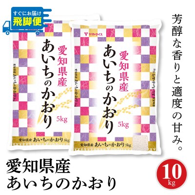 愛知県産あいちのかおり 10kg 米 白米 国産 精米  H074-656