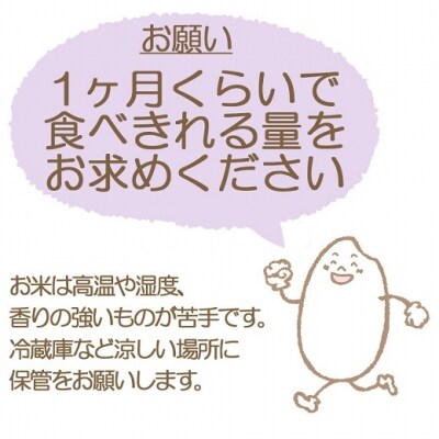 愛知県産あいちのかおり 10kg 米 白米 国産 精米  H074-656