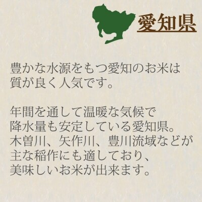 愛知県産あいちのかおり 10kg 米 白米 国産 精米  H074-656