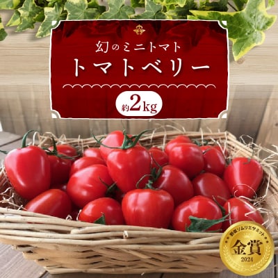 【事前受付】2kg甘さ抜群!トマト嫌いでも食べられるトマトベリー 4月～6月発送 　H004-196