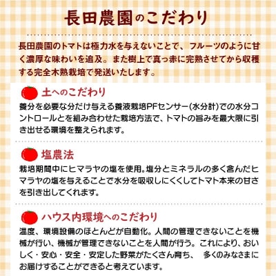 【2026年度事前受付】【お試し】期間限定!プレミアムフルーツトマト　H004-145